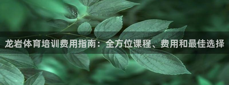 焦点娱乐挂机版下载：龙岩体育培训费用指南：全方位课程