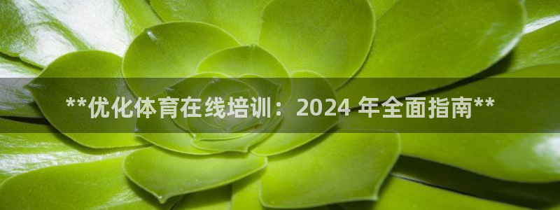 焦点娱乐财神：**优化体育在线培训：2024 年全面