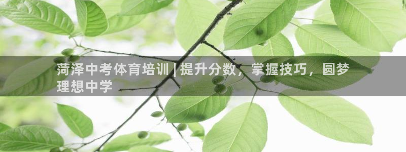 焦点娱乐app下载安装方式是什么：菏泽中考体育培训 