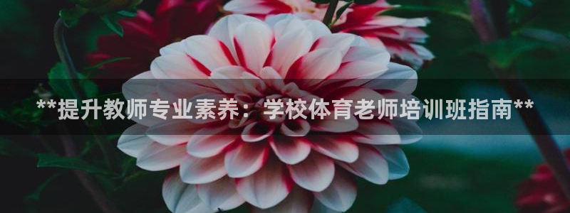 焦点娱乐app下载官网苹果：**提升教师专业素养：学