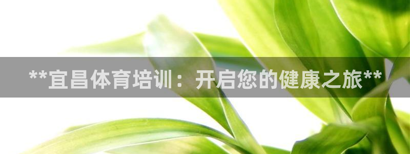 焦点娱乐是拉菲公司的吗：**宜昌体育培训：开启您的健